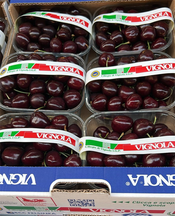 Ciliegia cal.30+ - Vignola - 8,00 euro al chilogrammo
